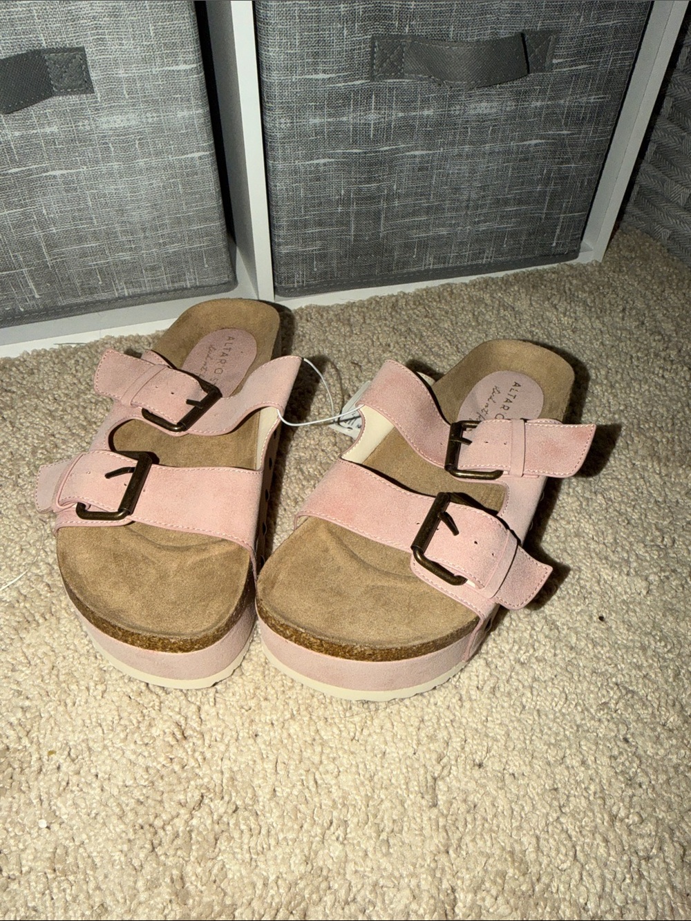 Altar'd State Blush Pink Double-Buckle Platform Sandals